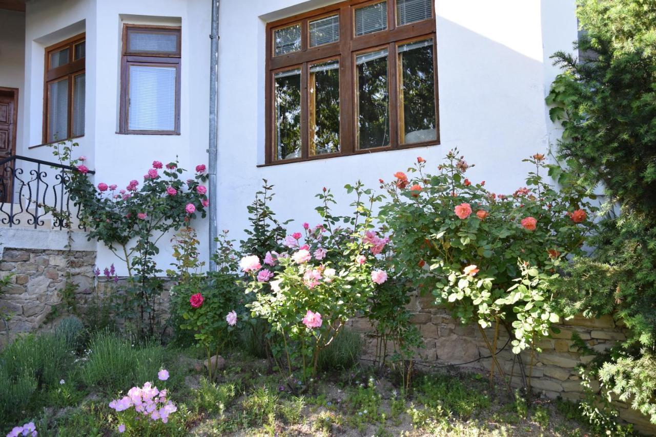 Guest House Astra Arbanasi Eksteriør bilde