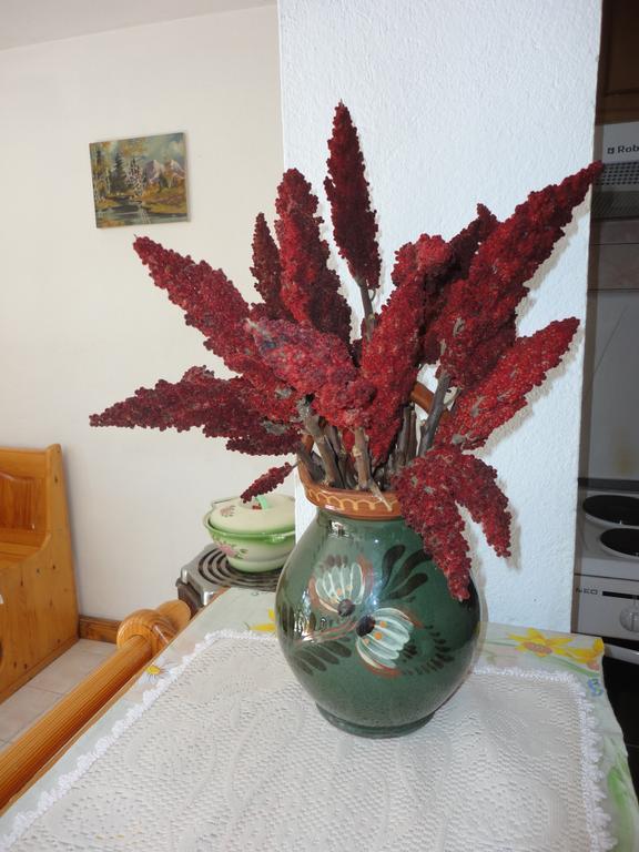 Guest House Astra Arbanasi Rom bilde